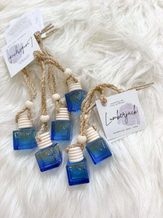 Fall Car Diffusers